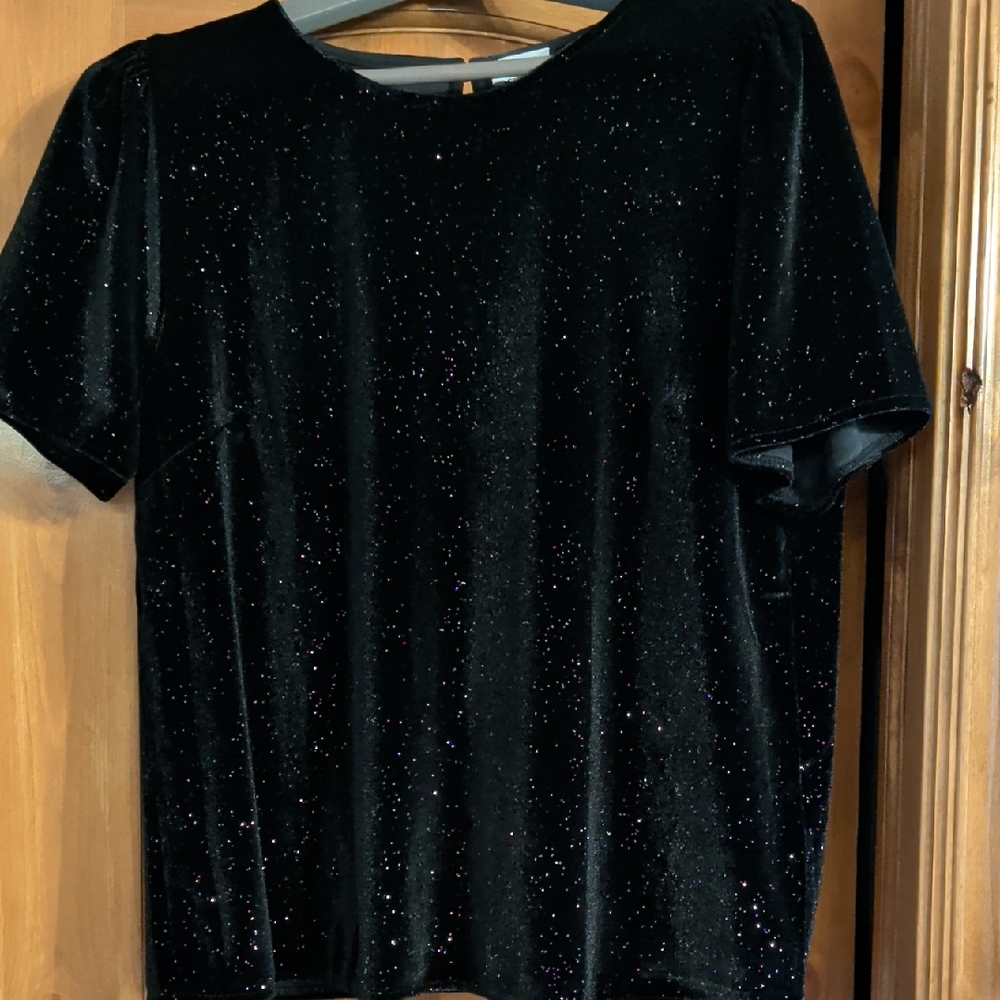J. Crew Black Velvet Top